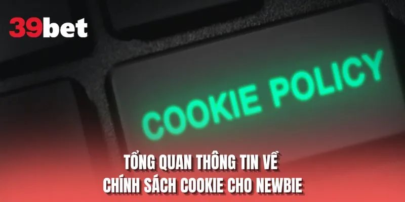 Tổng quan thông tin về chính sách cookie cho newbie